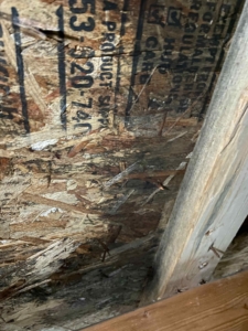 a wood paneling with black text and mold